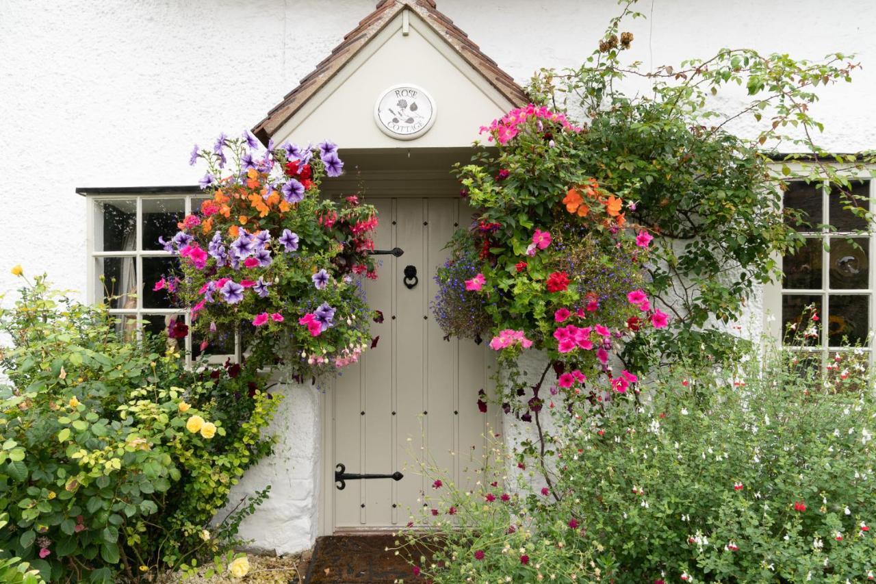 Rose Cottage Evesham Extérieur photo